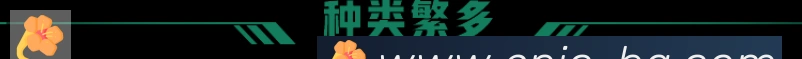 直播吧荣誉